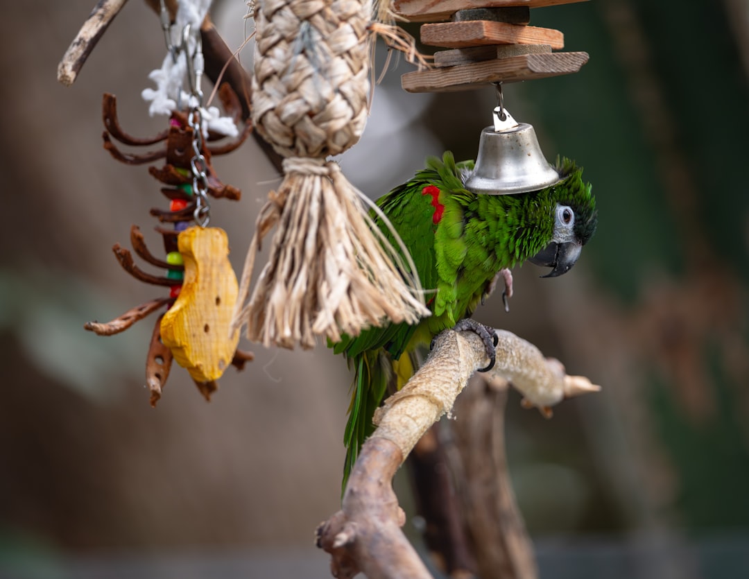 blog_6